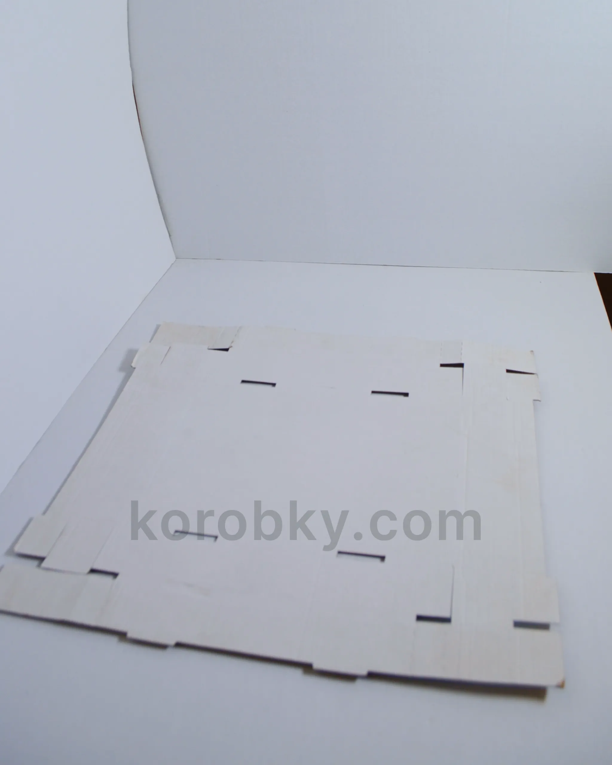Кондитерський лоток 330×210×50 мм
