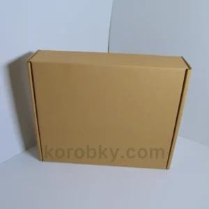 Самозбірна коробка 377×314×101 мм