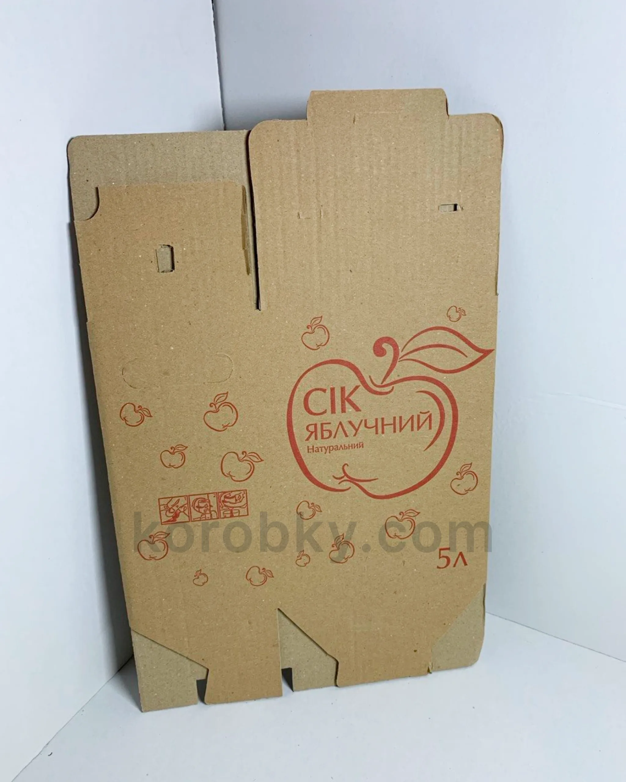 Коробка 5 л «Сік мікс»